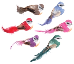 Birds with Tails Decorative Accent 12pk