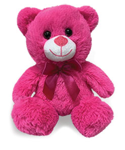 7 Inch Plush Hot Pink Bear
