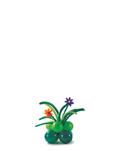 Tropical Plants Balloon Design Recipe