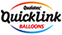 Quicklink Balloons
