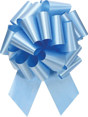 #5 Light Blue Perfect Bow