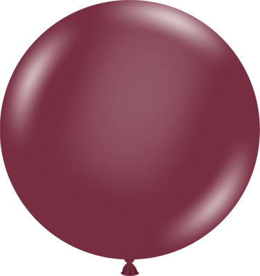 24 Inch Samba Latex Balloon 3pk