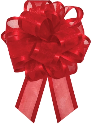 #9 Red Satin Edge Instant Bow 12pk