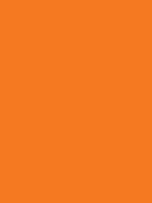 100 Yards #9 Orange Floral Cooler Ribbon