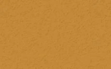 20" x 30" Orange Tissue Paper 24pk