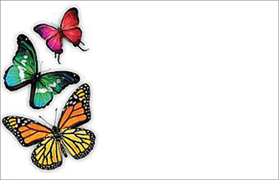 Butterflies Enclosure Cards 50 pk