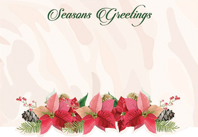 Season's Greetings Poinsettia Enclosure Cards 50 pk