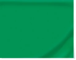 20 x 30 Kelly Green Tissue 24pk