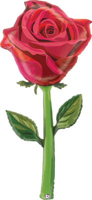 5 Foot Fresh Picks Watercolor Rose Balloon