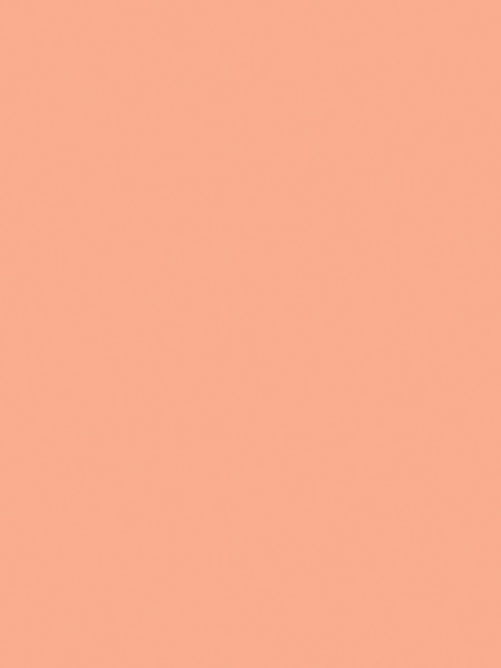 100 Yards #9 Coral Picardy Floral Ribbon - Balloons.com