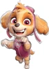This balloon is in the shape of Skye from Paw Patrol
